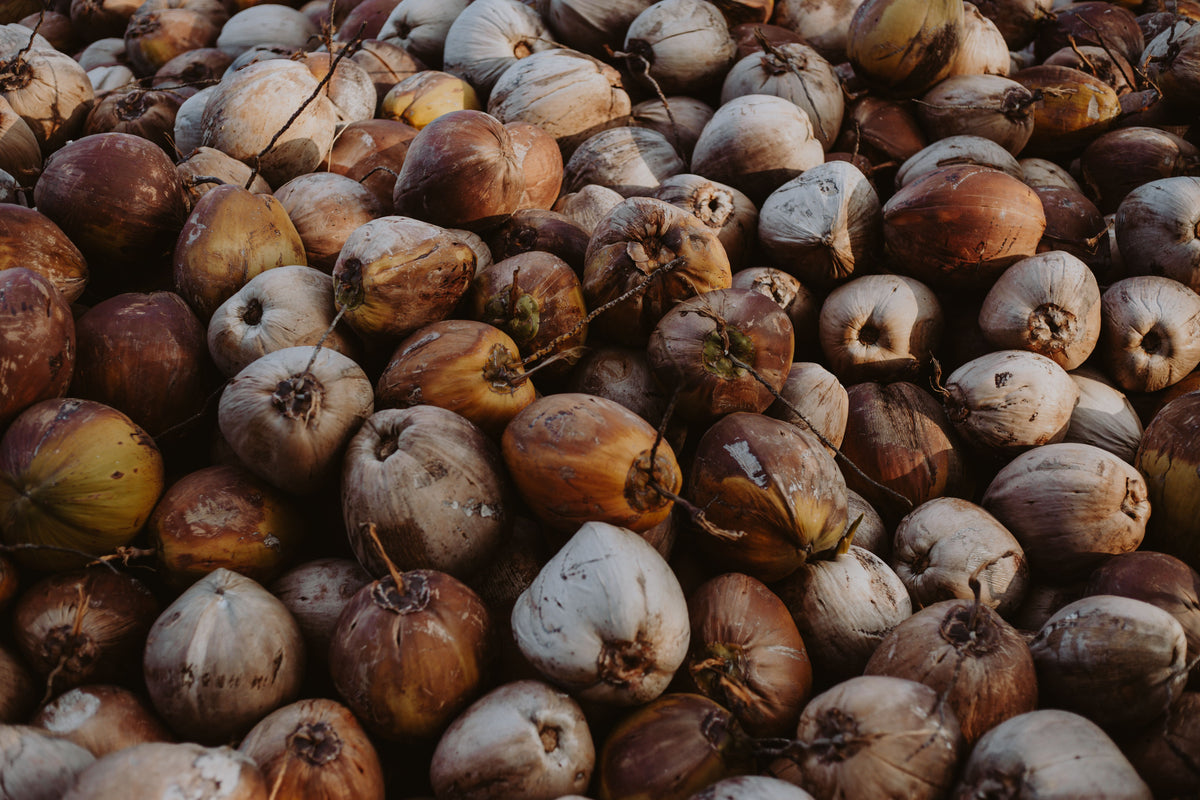 A close-up pile of whole coconuts with brown husks and pale beige to off-white shells, filling the frame.