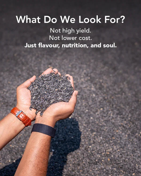a personal holding Kosi_organics_black_sesame_seed