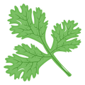 Naturally Rich in Plant Compounds