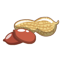 Only Groundnut