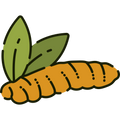  Authentic Lakadong Turmeric from Meghalaya